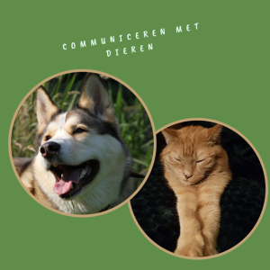 e-book leren communiceren met dieren